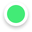 A bright green circle centered within a larger white circle, itself on a light grey background, resembling a simple green button or icon.